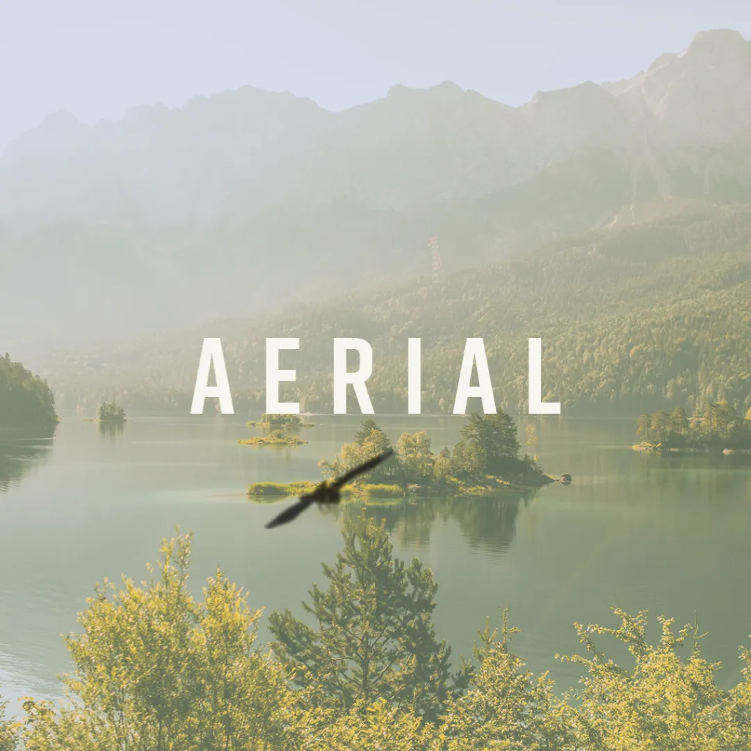 Aerial