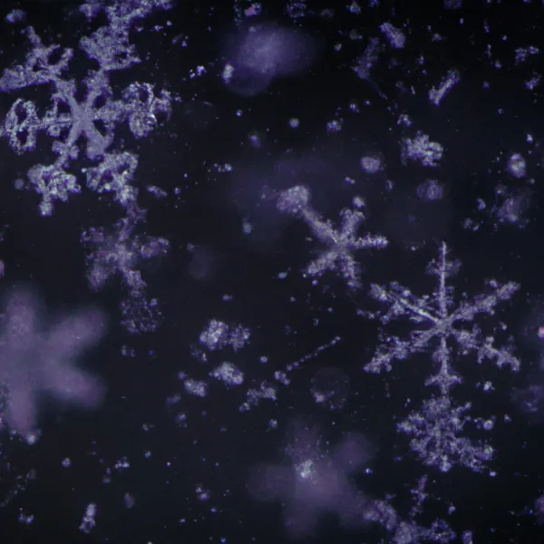 Snowflakes